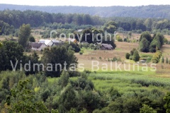 IMG 9850