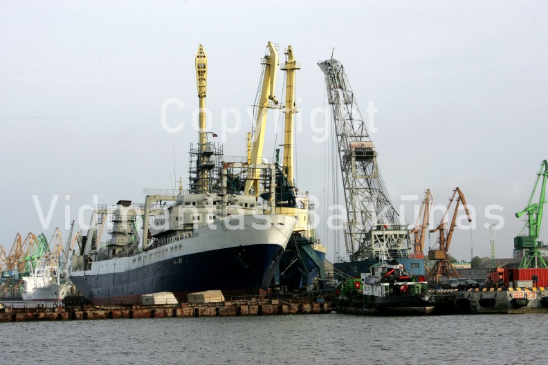 balkunas 5255161