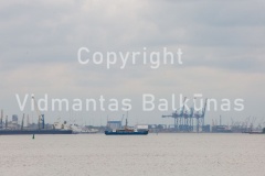 V.Balkuno nuotr. 937A0039