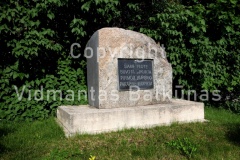 IMG 2863