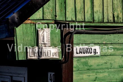 V.Balkuno nuotr. -2567
