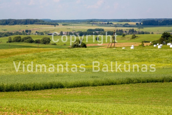 V.Balkunas -5436