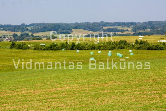 V.Balkunas -5441