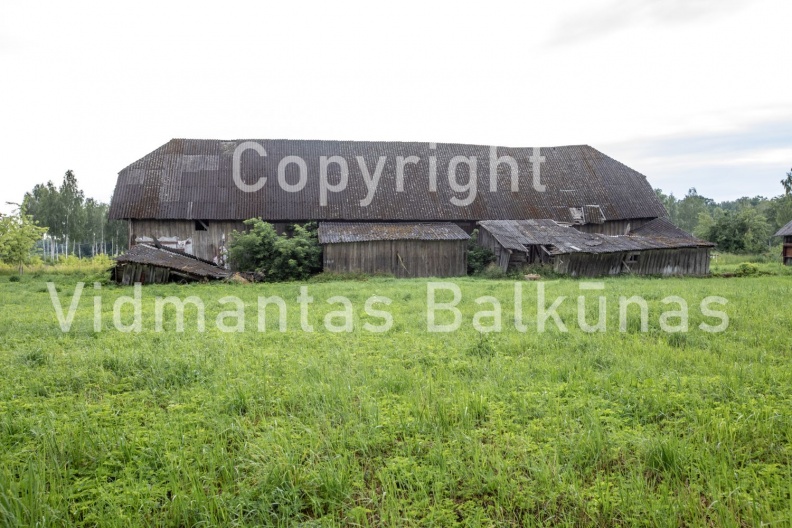 V.Balkuno nuotr. -1777