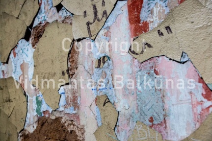 V.Balkuno nuotr. 937A1082