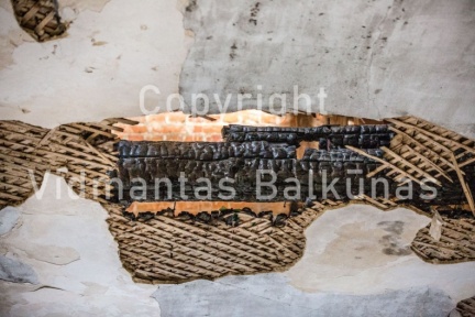 V.Balkuno nuotr. 937A1161