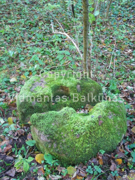Neries_parkas_rudeni_ 001.jpg