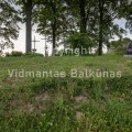 V.Balkuno nuotr. -1245