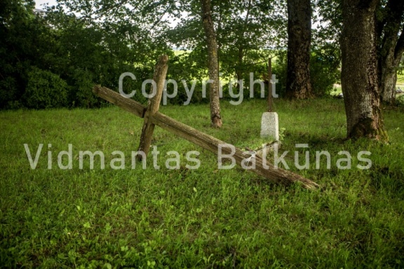 V.Balkuno nuotr. -1256