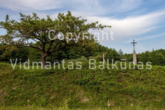 V.Balkuno nuotr. -1308