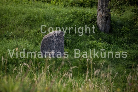 V.Balkuno nuotr. -1329