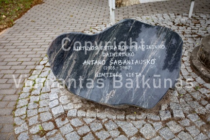 V.Balkuno nuotr. -5439