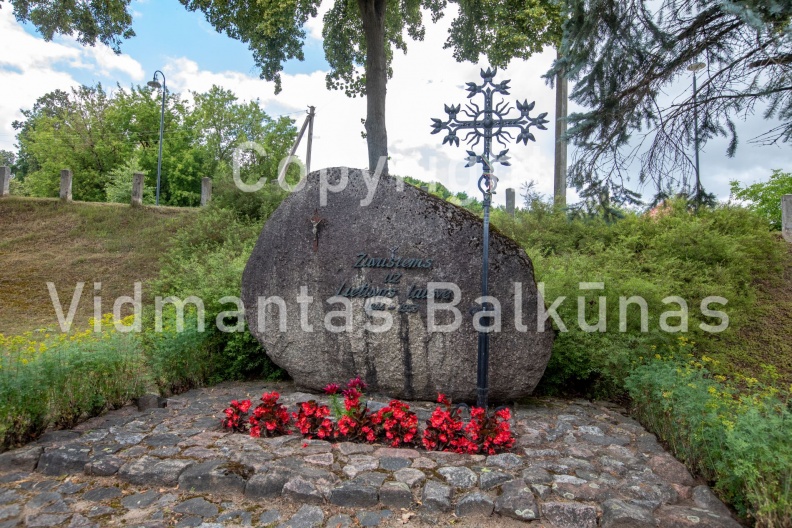 V.Balkuno_nuotr._-6032.jpg