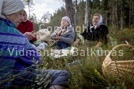 V.Balkuno nuotr. -5013