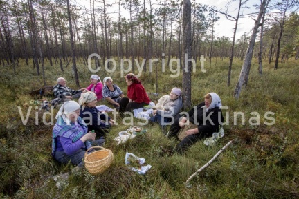 V.Balkuno nuotr. -5025