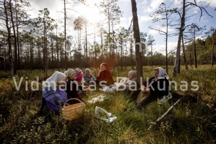 V.Balkuno nuotr. -5031