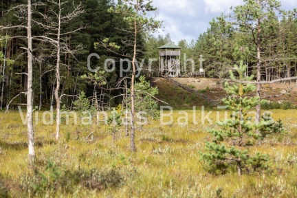 V.Balkuno nuotr. -5089