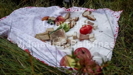 V.Balkuno nuotr. -5105