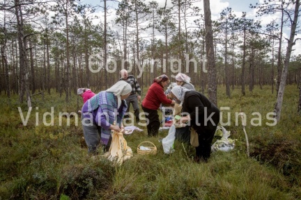 V.Balkuno nuotr. -5110