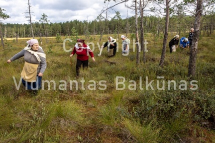 V.Balkuno nuotr. -5167