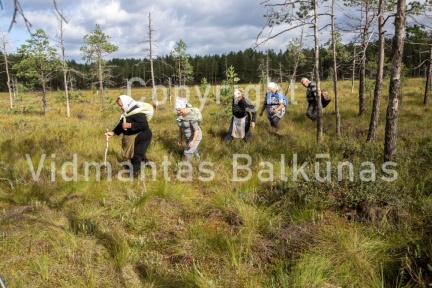 V.Balkuno nuotr. -5172