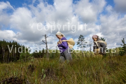 V.Balkuno nuotr. -5177