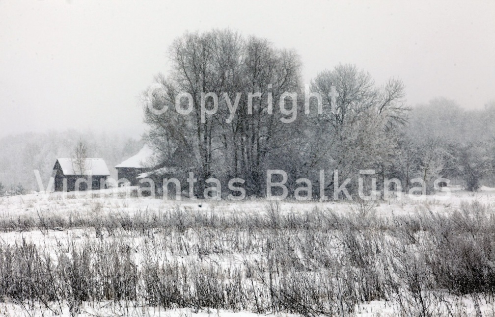 IMG 7193