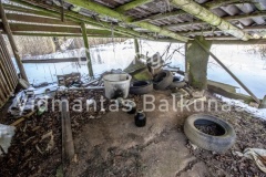V.Balkunas -3174