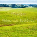 V.Balkunas -5714