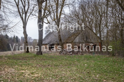 V.Balkuno nuotr. -1725