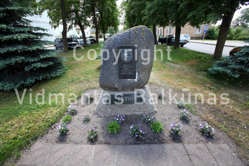 IMG 2441