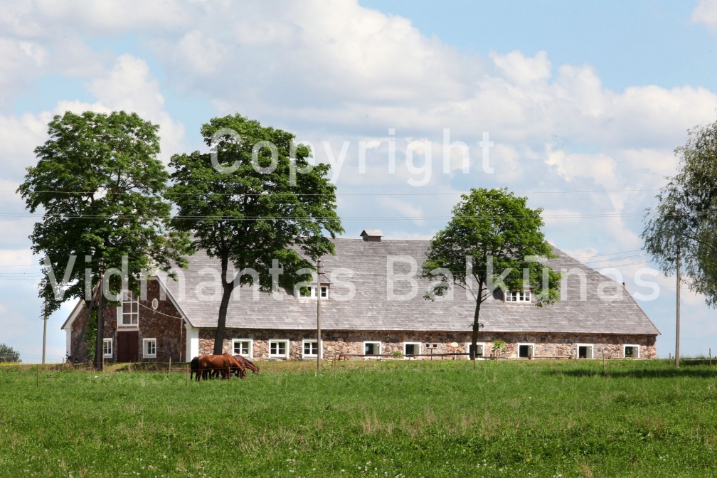 IMG 2576