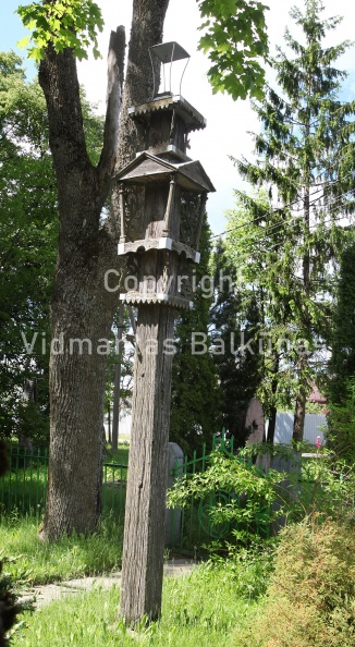 IMG 2635