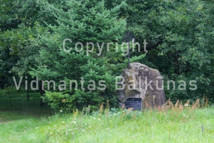 IMG 7927