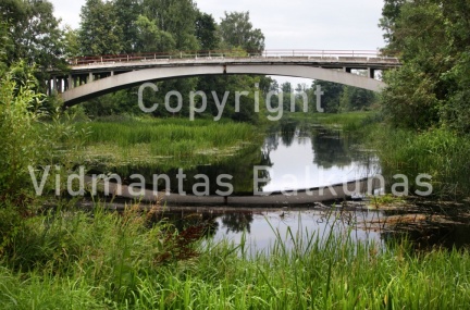IMG 7981