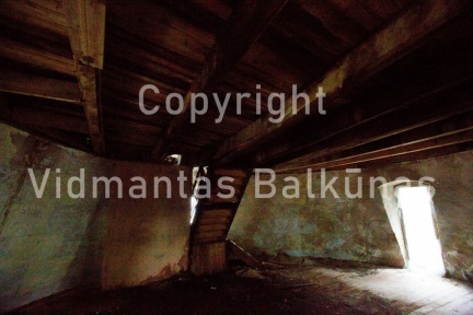 V.Balkuno nuotr. 937A3975