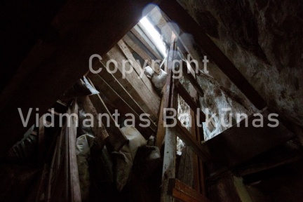 V.Balkuno nuotr. 937A3990