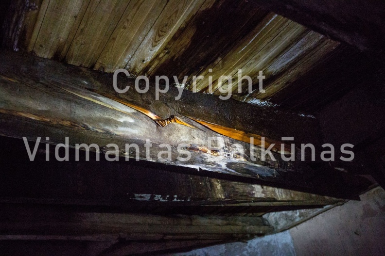 V.Balkuno nuotr. 937A3995