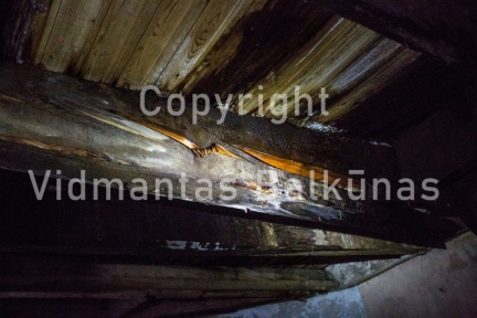 V.Balkuno nuotr. 937A3995