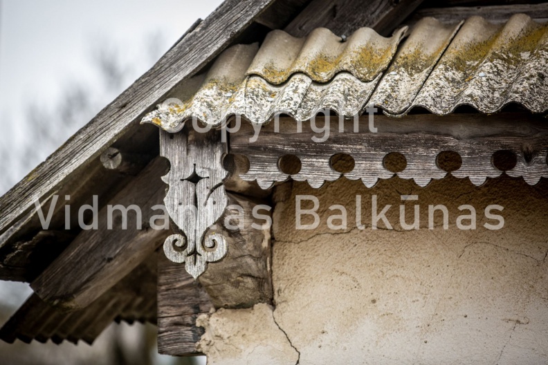 V.Balkuno nuotr. -3972