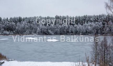 V.Balkuno nuotr. -5114