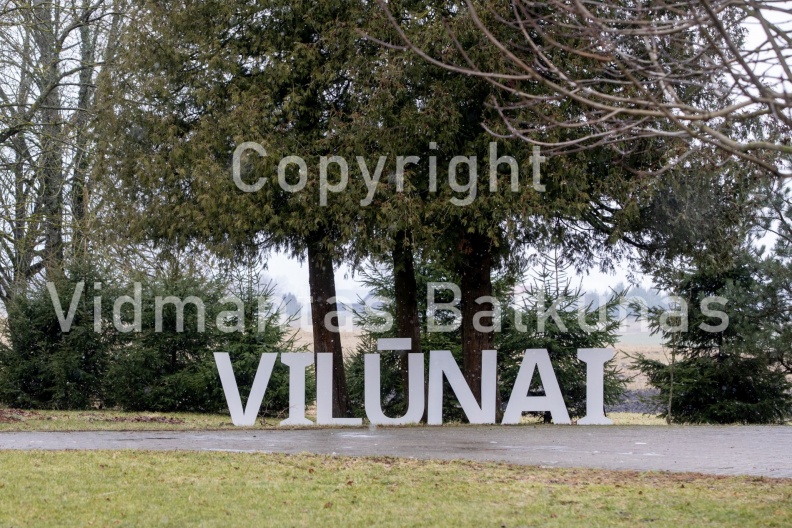 V.Balkuno nuotr. -7754