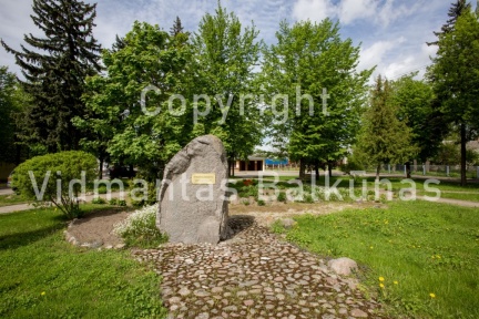937A8196