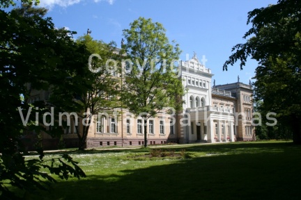 GP medziai III-diena  194