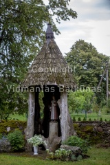 V.Balkuno nuotr. -0337