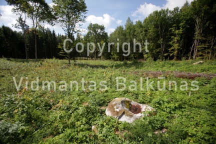 IMG 0012
