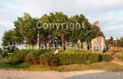IMG 9579