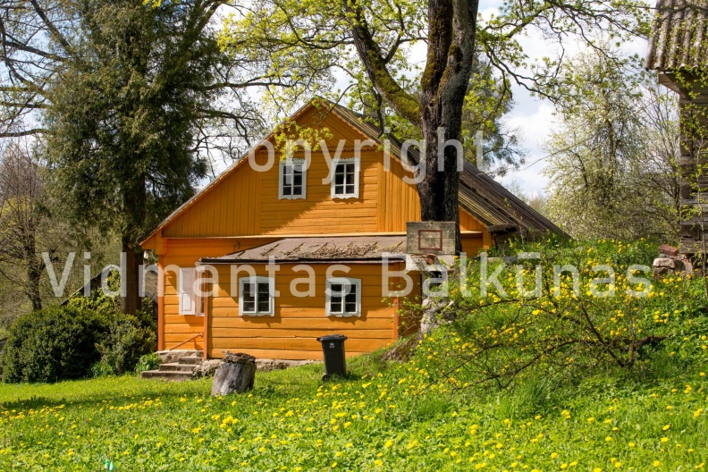 V.Balkunas-8481
