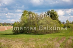 V.Balkunas-8498
