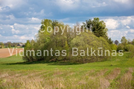 V.Balkunas-8498